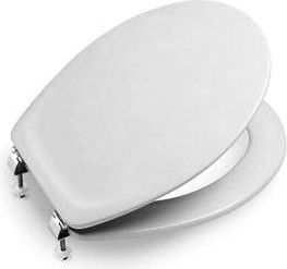 Крышка-сиденье для унитаза Roca Victoria 801392004 микролифт