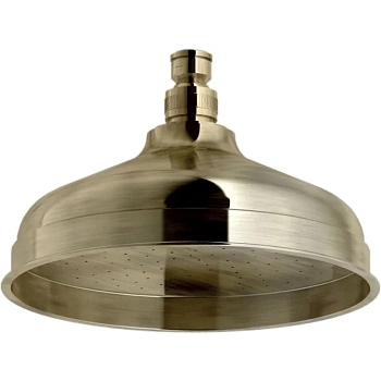 AD139/12BR верхний душ 20 см