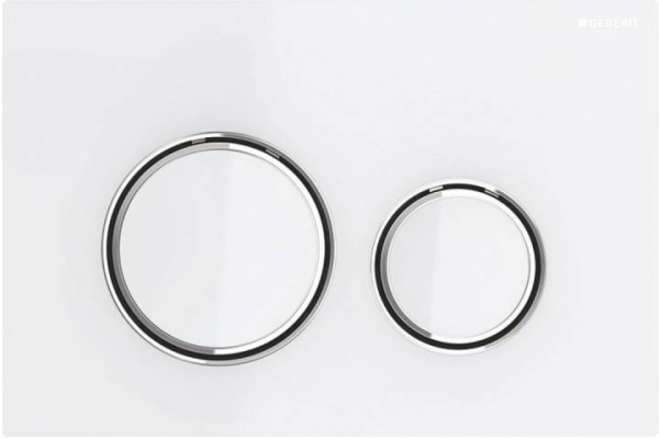 115.884.SI.1 Смывная клавиша Geberit Sigma21