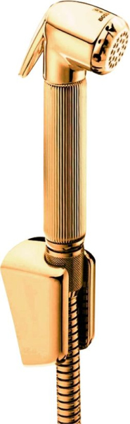 Гигиенический душ Bossini Nikita C04045 ORO