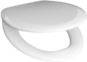 Крышка-сиденье для унитаза Roca Mateo ZRU9302815