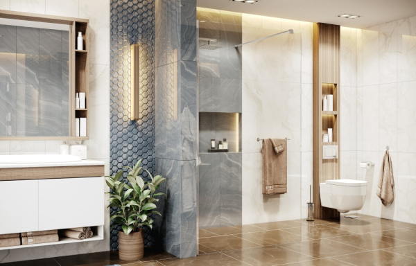 Душевая перегородка Ambassador Waik-in 15031101 (900x2000)