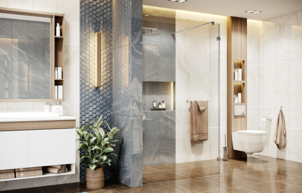 Душевая перегородка Ambassador Waik-in 15031105 (900x2000)