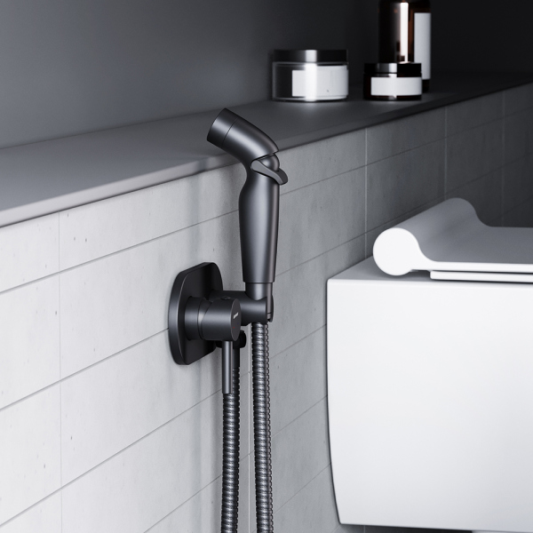 Смеситель, монтируемый в стену с гигиеническим душем Damixa Option, 212000300