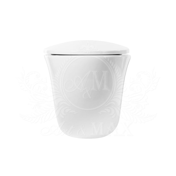 Чаша для подвесного, безободкового унитаза ART&MAX PESCARA AM016CHR