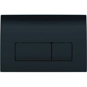 115.119.DW.1 Смывная клавиша Geberit Delta50, для двойного смыва: Черный RAL 9005