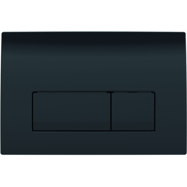 115.119.DW.1 Смывная клавиша Geberit Delta50, для двойного смыва: Черный RAL 9005