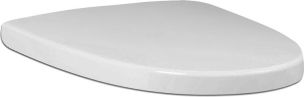 Крышка-сиденье AM.PM Bliss L C537852WH с микролифтом, петли хром