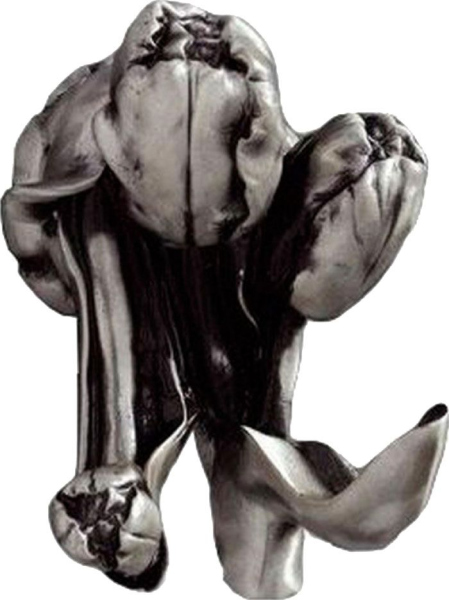 Крючок Art&Max Tulip AM-0822-T